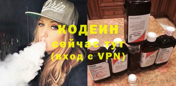 индика Балахна