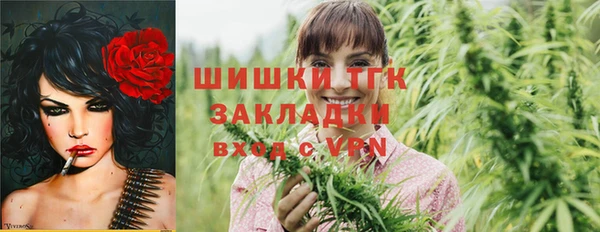 амф Сосновый Бор