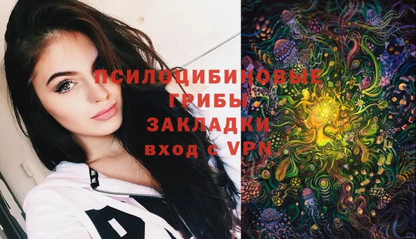 индика Балахна