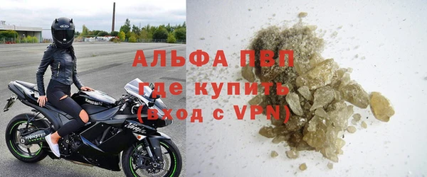индика Балахна