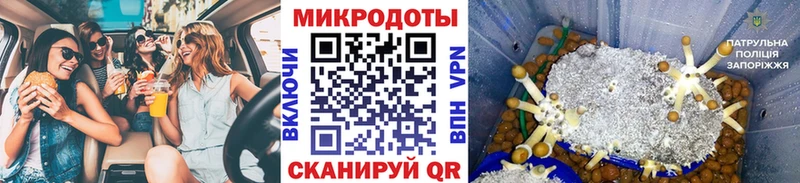 кракен   где можно купить наркотик  Нытва  Галлюциногенные грибы Psilocybine cubensis 